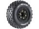 Das Louise RC Komplettrad "SC-Rock" Soft ist die Offroad-Waffe für 1:10 Short-Course-Modelle. Mit seinem kräftigen Pin-Spike Noppenprofil überzeugt er sowohl auf Sand, Kunstrasen und Kunststoffbelägen als auch auf unebenen Naturpisten. Dank der verschraub