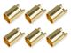 Team Corally Bullit Connector 6.5mm - Female Gold Plated - Ultra Low Resistance - 6 pcs