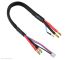Team Corally Charge/Balance Lead - 4mm Bullit Connector 2S - Charger 2S XH Connector - 2mm