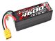Team Corally Sport Racing 60C - 4600Mah - 6S - 22,2V - XT-90 - Hard Case