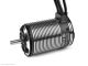 XC-ESC E3665-2500KV Brushless Motor 2-4S | RC-Car!