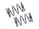 Mugen Dämpfer Federn L40/5.25T (Silber) # MGT-7, E2545