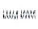Mugen Dämpfer Federn HA schwarz # MTX-6/MTX-7, T2508